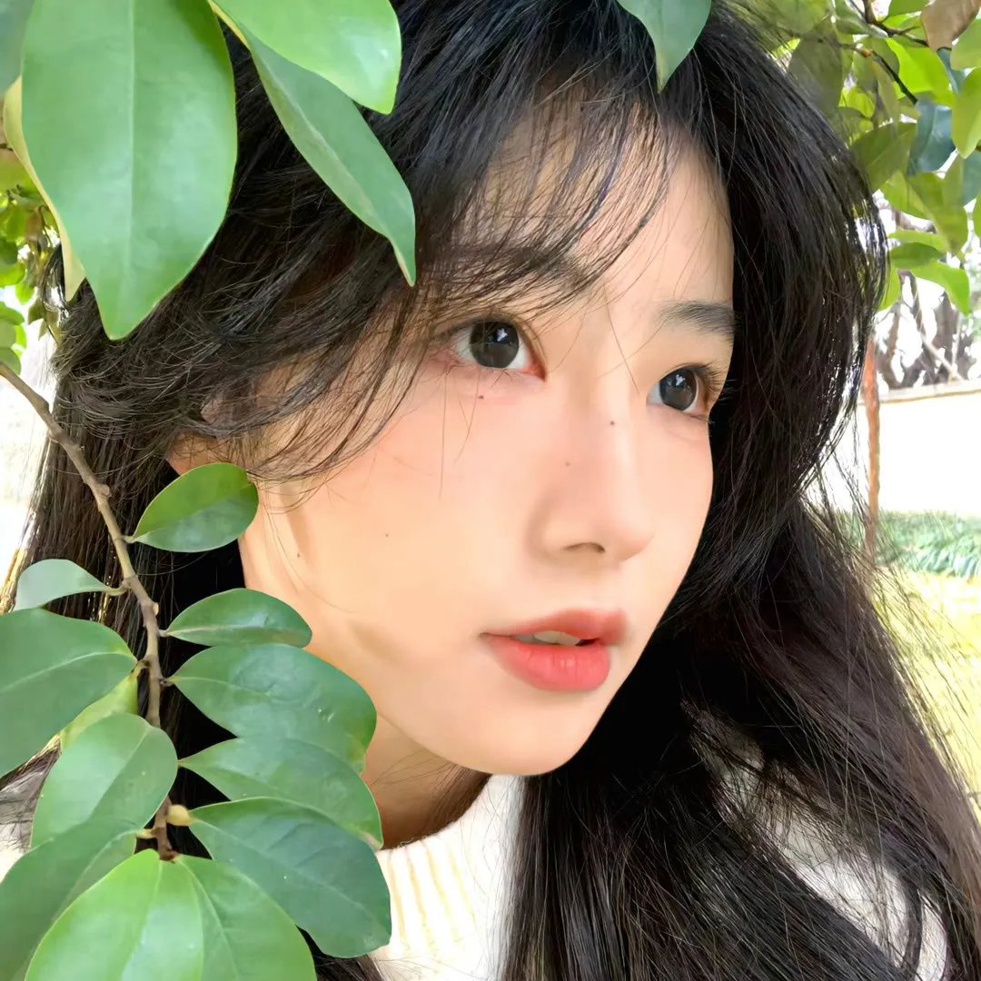 花园蜘蛛